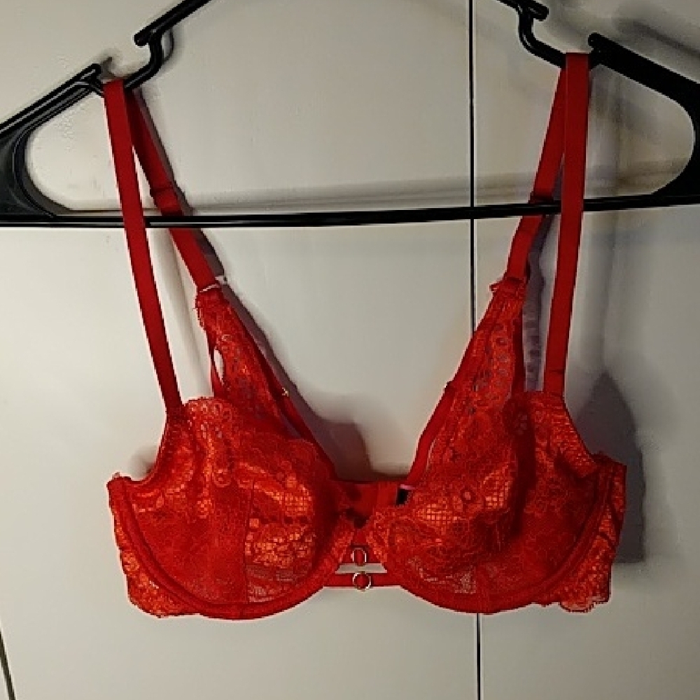 Lace Red Bra